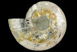 Agatized Ammonite Fossil (Half) - Madagascar #145215-1